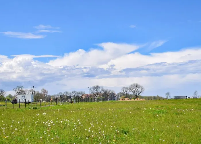 Awesome In With Wifi *